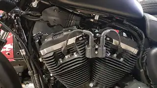 HELL MOTORS, Ollioules