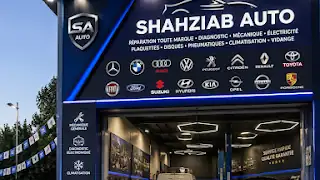 SHAHZAIB AUTO, Stains