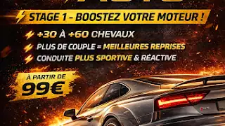 👑REPROG👑FAP ADBLUE EGR SONDE LAMBDA/STAGE1 ETHANOL🚗🚨, Le Blanc-Mesnil
